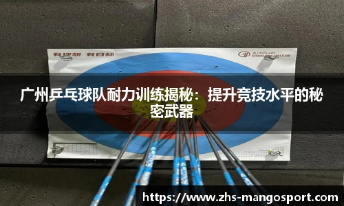 广州乒乓球队耐力训练揭秘：提升竞技水平的秘密武器